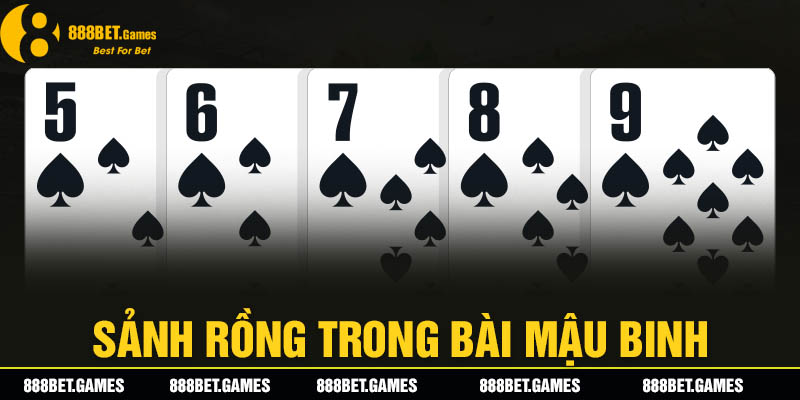 Sảnh rồng trong bài mậu binh