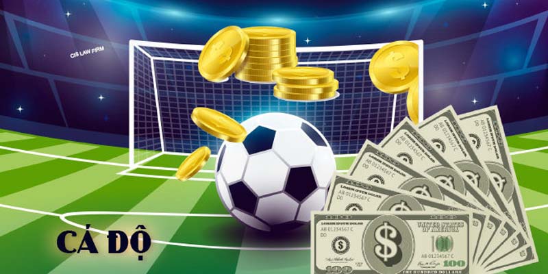 Thông tin quan trọng về cá cược bóng đá online