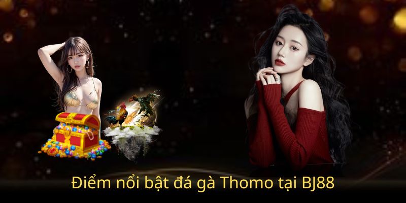 Những điểm nổi bật khi tham gia đá gà Thomo tại Bj88