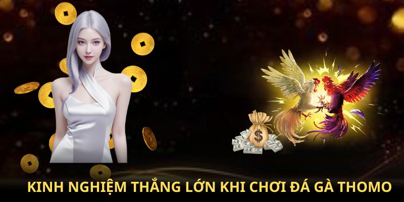 Những bí kíp chơi đá gà Thomo thắng tuyệt đối