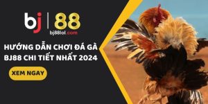 hướng dẫn chơi đá gà