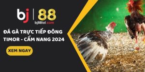đá gà trực tiếp đông timor