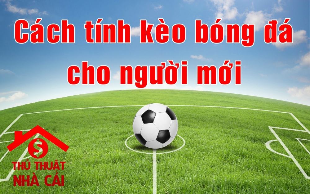 Đọc kèo bóng đá cho người mới - Hướng dẫn đọc kèo bóng đá mới nhất