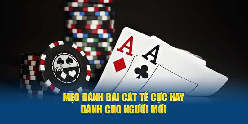 Hãy tham gia những ván Catte thú vị, thử thách tư duy chiến lược và tìm kiếm cơ hội đổi thưởng hấp dẫn