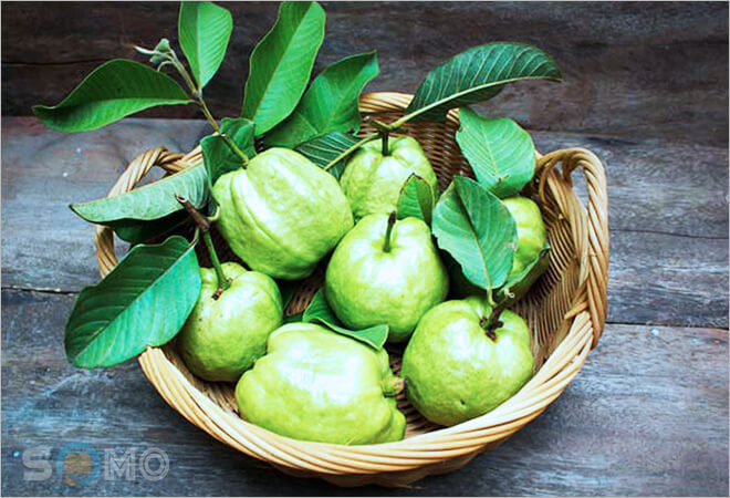 mơ thấy quả ổi đánh lô đề con gì