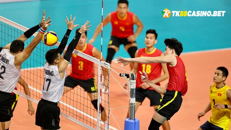 Kinh nghiệm chơi cá cược bóng chuyền luôn thắng